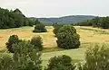 Přírodní park Petrovicko u Obděnic