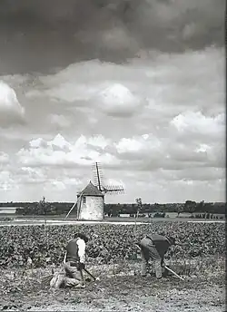 Clohars-Carnoët Moulin de Keranquernat