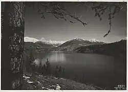 1951