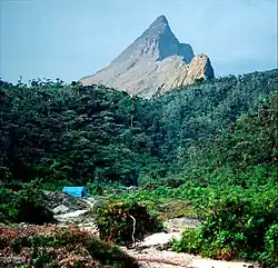 Pico da Neblina zdálky a bez obvyklých mraků. Oblý modravý vedlejší vrchol za ním je Pico 31 de Março.