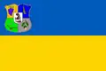Pidvynohradiv – vlajka