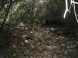 Nachal Jechi'am