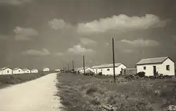 Pohled na mošav, cca 1955