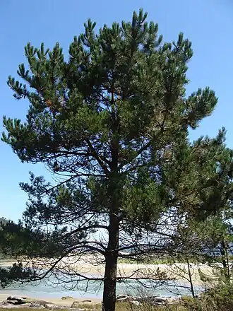 alternativní popis obrázku chybí