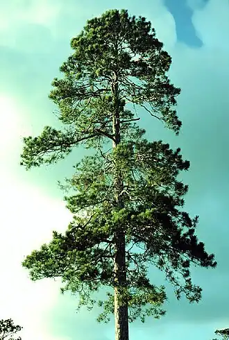 alternativní popis obrázku chybí
