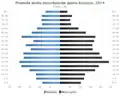 Demografie Knyszyna (2014)