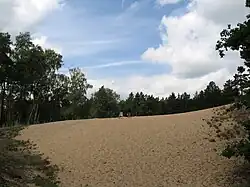 Písečný přesyp u Píst
