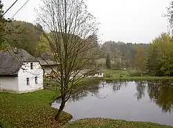 Pivoň