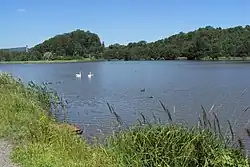 Pivovarský rybník