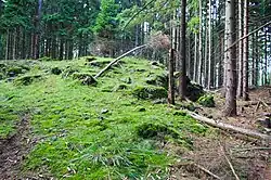 říjen 2013