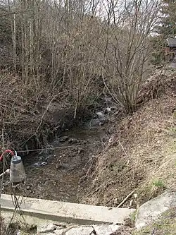 Průrubský potok v Plavech