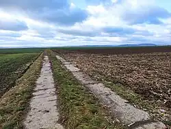Plechowa Góra