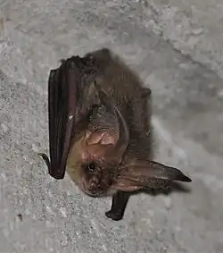 alternativní popis obrázku chybí