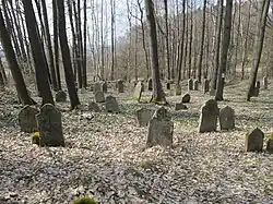 ŽH Pořejov