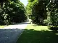 Brána polibku