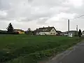 Místní domy