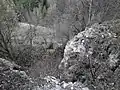Skalní výchozy v rezervaci