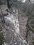 Skalní výchozy v rezervaci