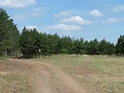 Pod Holým Vrchom