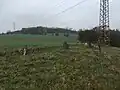 Východní část území - přilehlé pole a sloup vysokého napětí