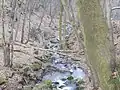 Bušinec v kaňonu pod obcí Masojedy