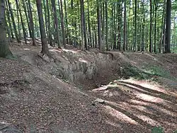 Pod vrcholem