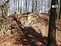 Zřicenina hradu Starý Světlov