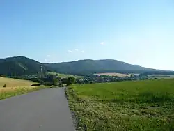 Kelčský javorník