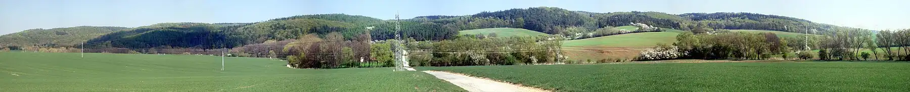 Panoramatický pohled na Podkomorské lesy od Veverských Knínic