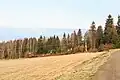 Podlesí u Sněžného - rekreační chaty