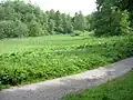 Údolí říčky Jordánky mezi rybníky Krčák a Věžák