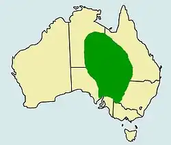 Výskyt agamy australské v Austrálii