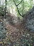 V horní části rokle stěny tvoří opuky bělohorského souvrství