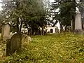 Pohled na židovský hřbitov v Dobrušce