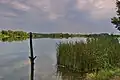 Chomoutovské jezero