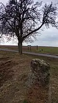 Pohled od menhiru západním směrem