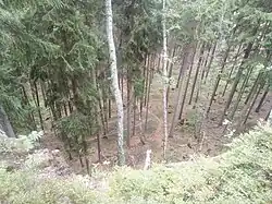 Pohled z Bradla
