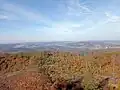 V popředí žlutooranžově zbarvený les, v pozadí tmavší kopce, nahoře modrá obloha s bílými mraky