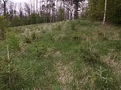 Pohled ze západní strany směrem k areálu hradiště