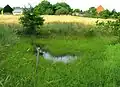 Turyňský potok u Skalska