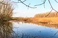 Pohránovský rybník