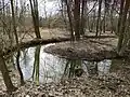 Meandry Polančice
