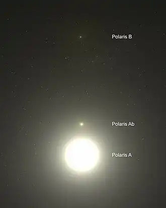 Polárka  