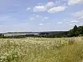 Krajina kolem obce
