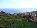 Bramborové políčko nad Calhetou.