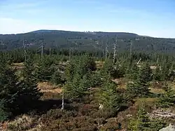 Poledník (1315 m) při pohledu z Oblíku (1225 m)