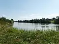 Rybník Horní Polom