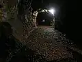 Komplex Włodarz