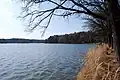 Ponědrážkovský rybník