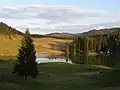 Padiș